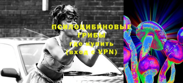 первитин Алексеевка