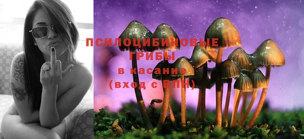 jwh Алзамай